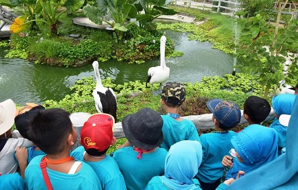 Feeding Zoo (Memberi Makan Hewan)