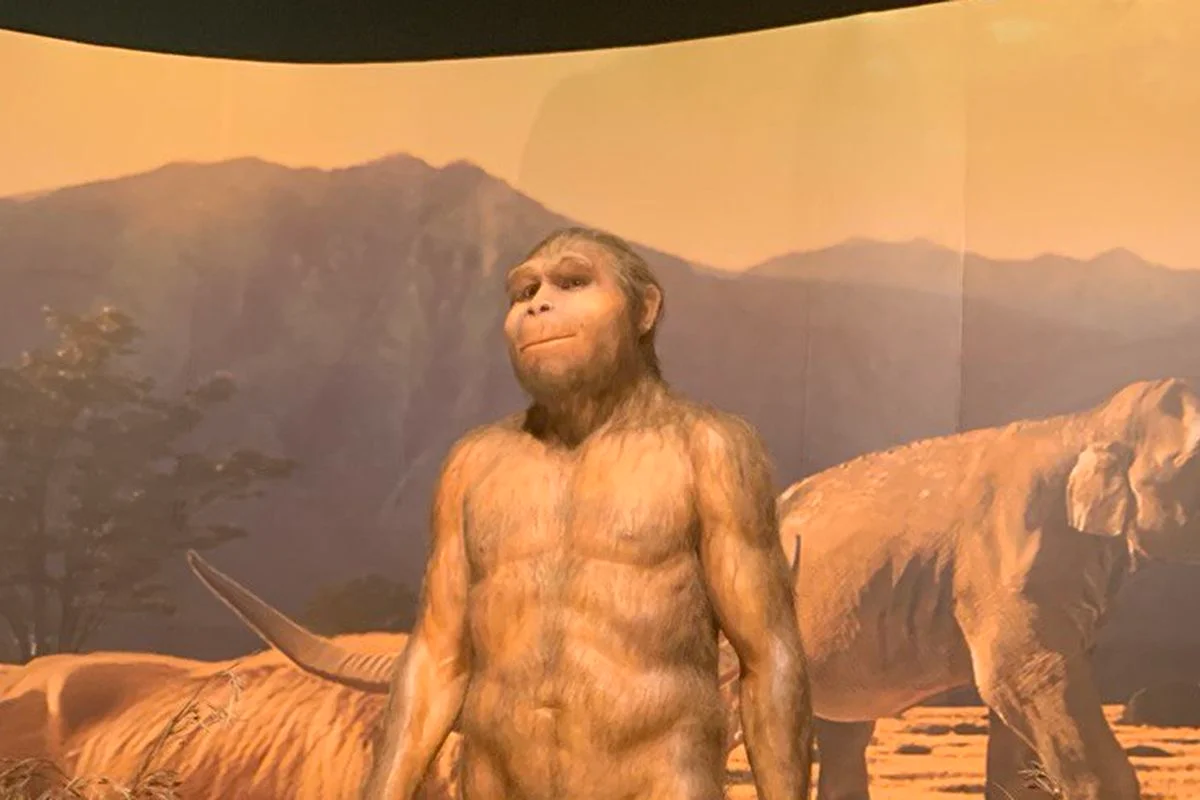 Indonesia, The Oldest Civilization on Earth_ 130 Years After Pithecanthropus erectus