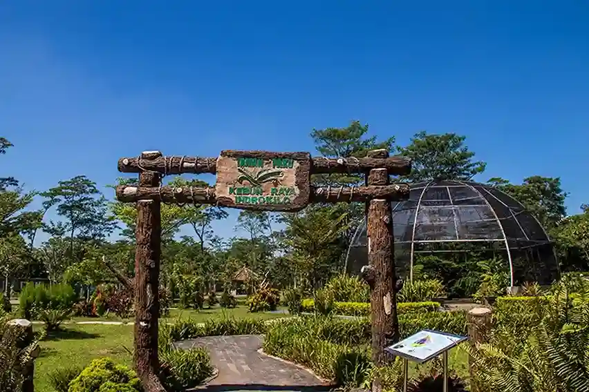 Kebun Raya Indrokilo- Daya Tarik dan Aktivitas Menarik Terupdate di 2025