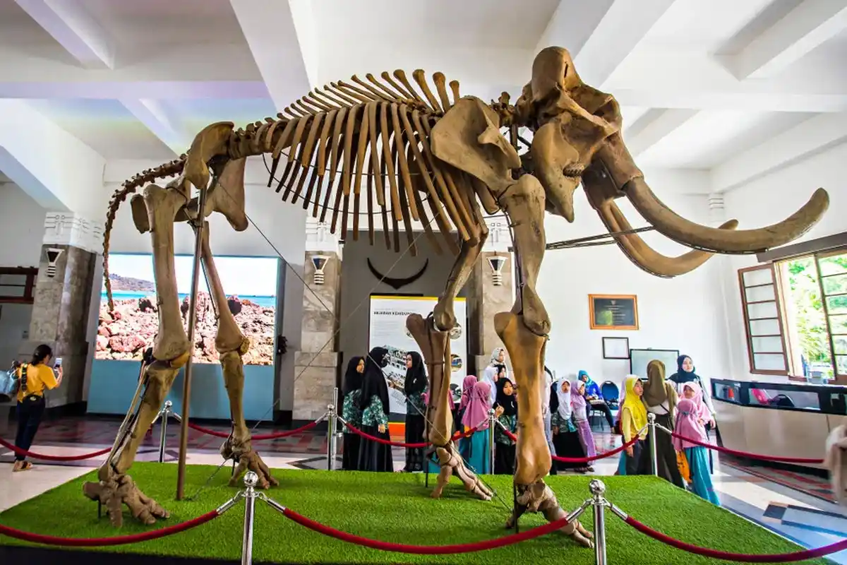 Kalender Pendidikan 2025 - Liburan di Museum Geologi, Bandung