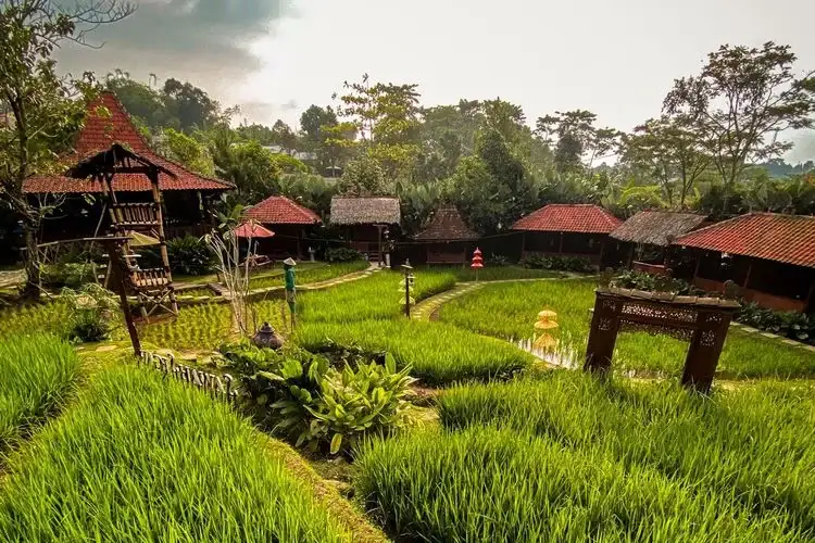 Sawah Segar
