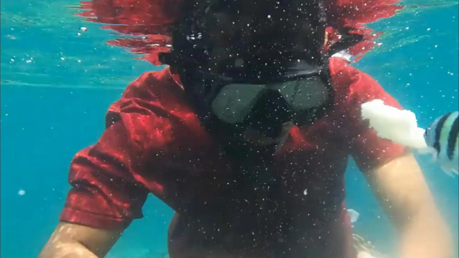 Snorkeling