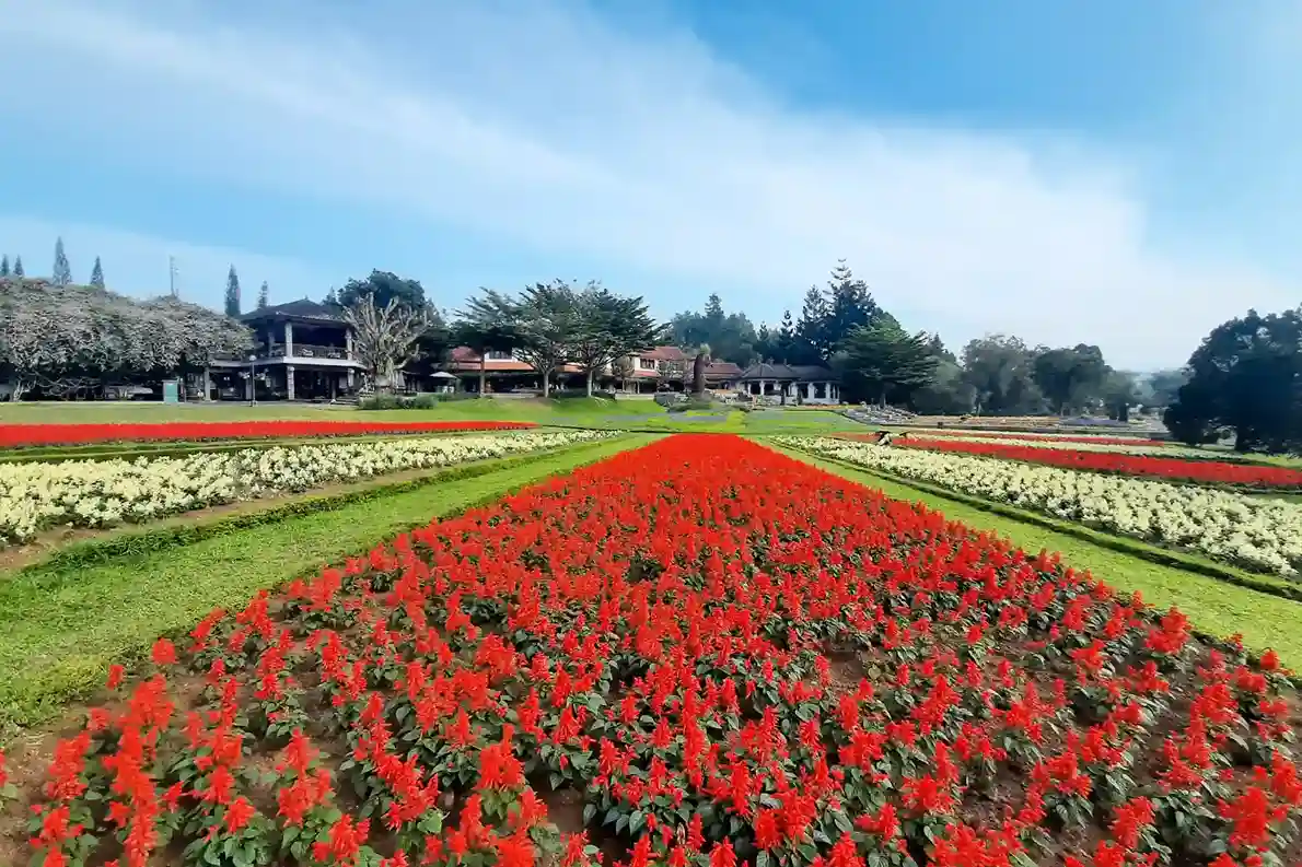 Taman Bunga Nusantara