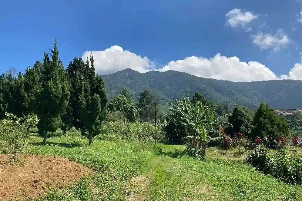 Taman Nasional Gunung Halimun Salak