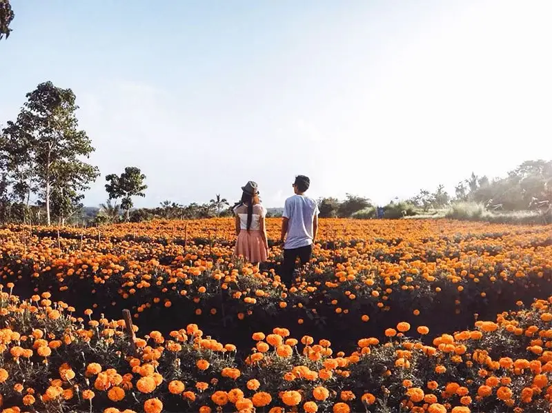 12 Destinasi Wisata Romantis Untuk Rayakan Hari Valentine 2025
