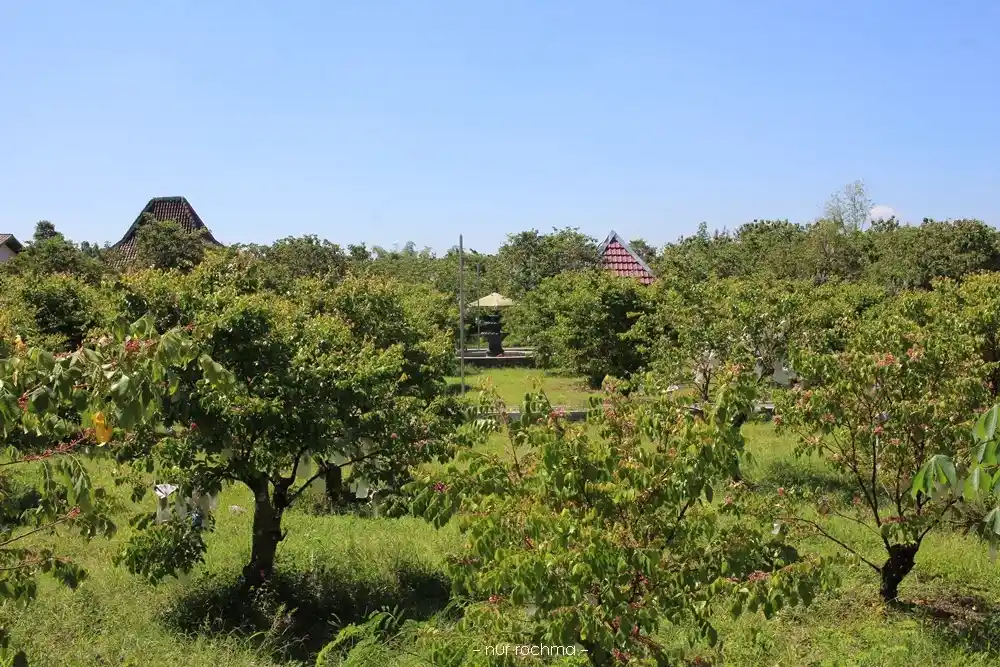 Agrowisata Belimbing Karangsari