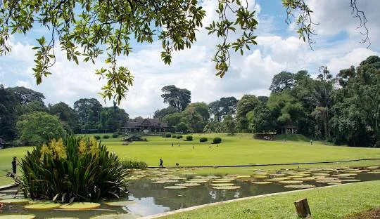 Aturan yang ada di Kebun Raya Bogor untuk Pengunjung