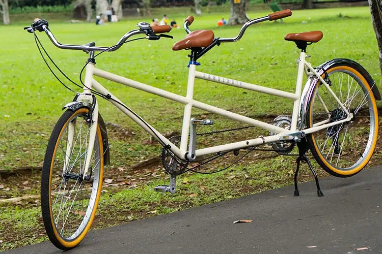 Berapa harga sewa sepeda di Kebun Raya Bogor_