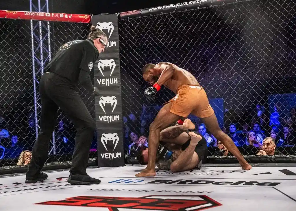 Brave Fight Night