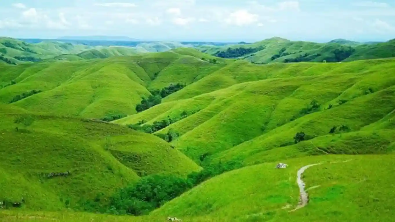 Bukit Teletubbies Probolinggo
