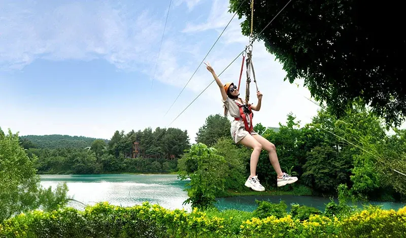 Flying Fox