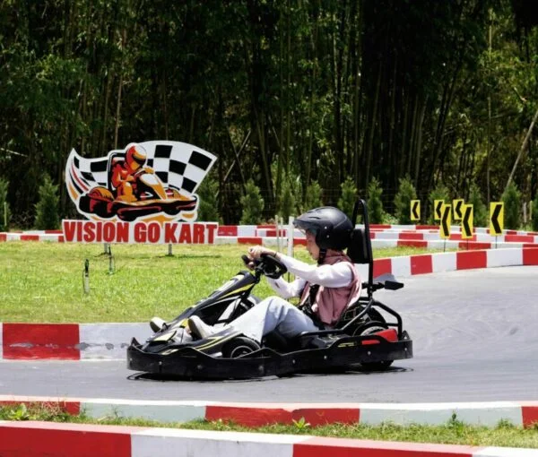 Gokart