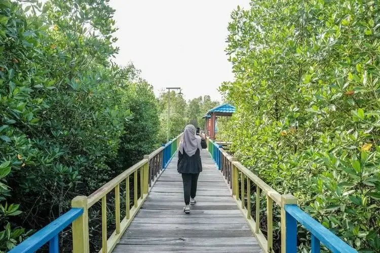 Hutan Mangrove Sorong