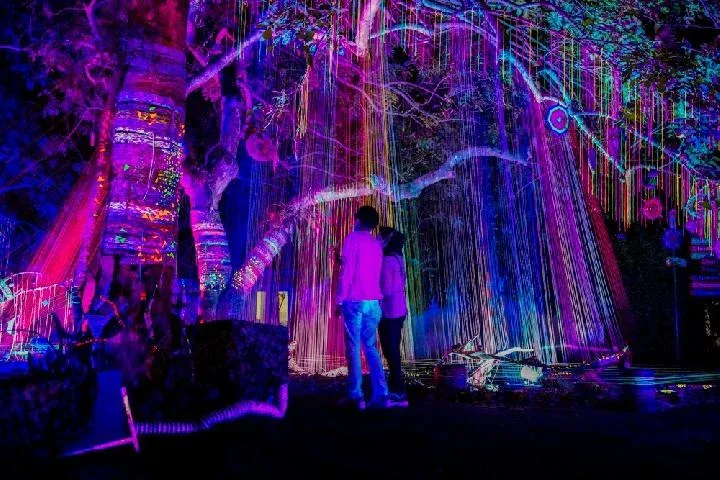 wisata bandung hits - Hutan Menyala Tahura