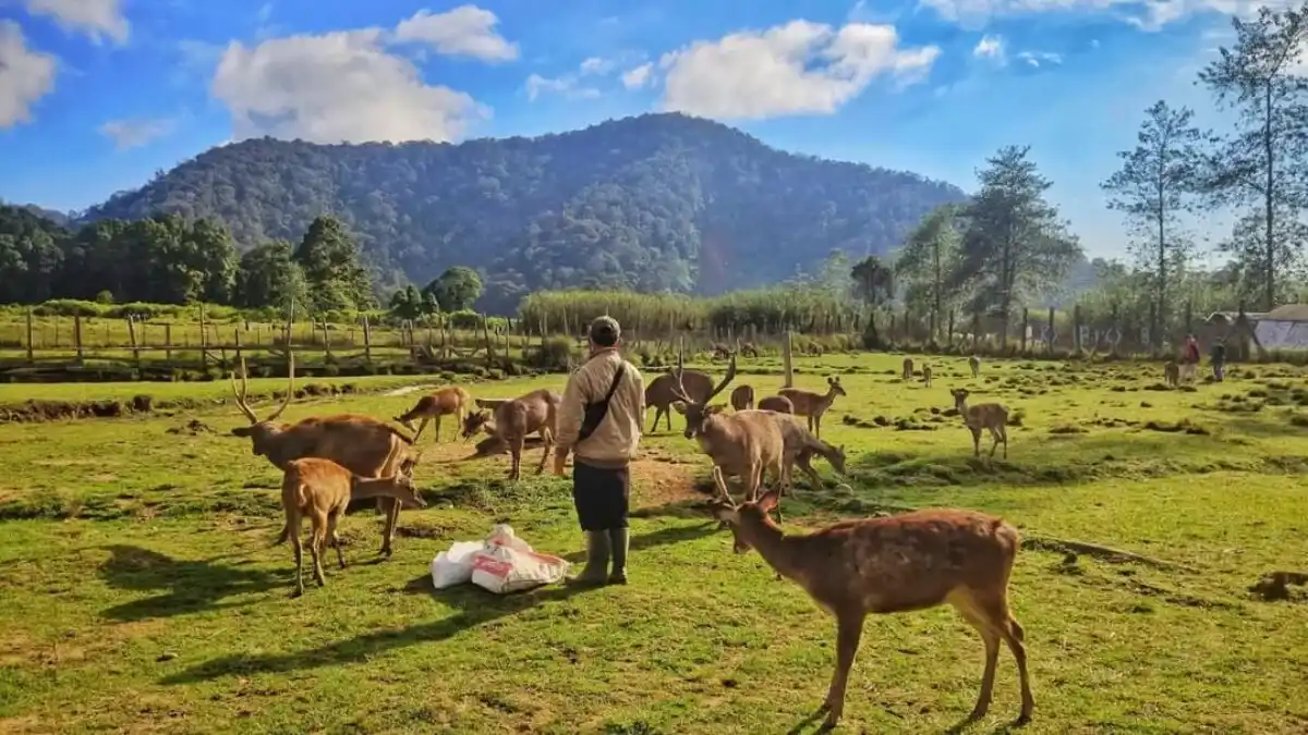 wisata bandung hits - Kampung Cai Ranca Upas