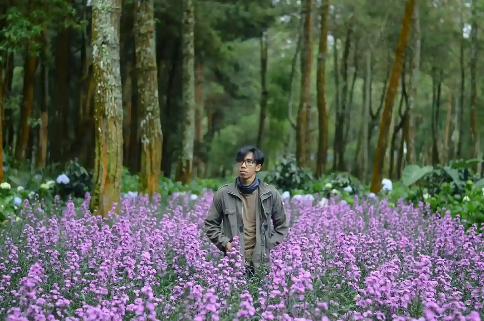 Kebun Bunga Coban Talun Malang