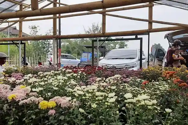 Kebun Bunga Sekarmulyo