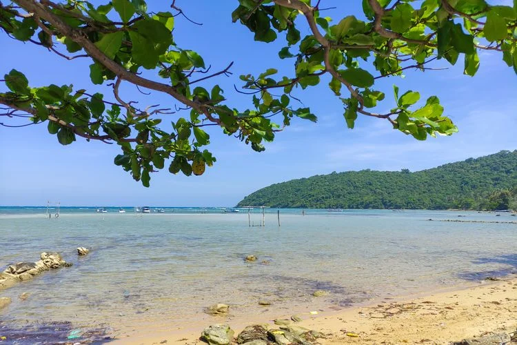 Pantai Anora- Pemandangan Pantai dan Bukit yang Menakjubkan