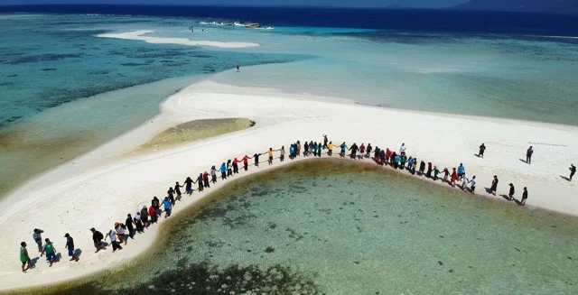 wisata karimunjawa di Pulau Cemara Besar- Menyelam di Keindahan Laut