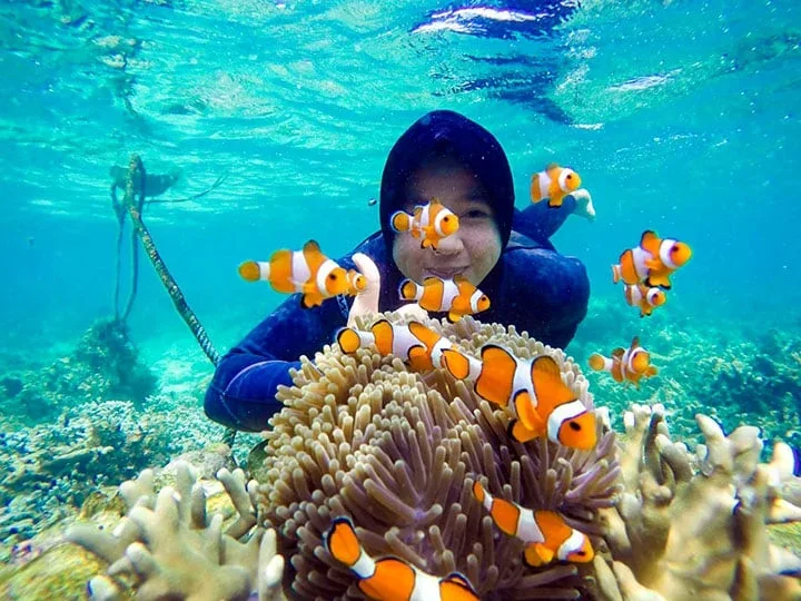 pantai tempat snorkeling terbaik di lampung