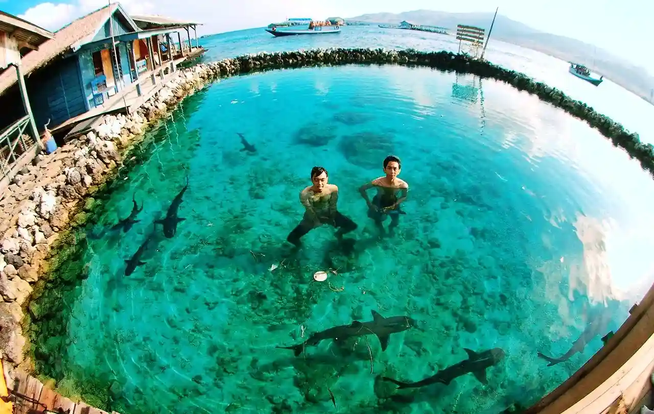 wisata karimunjawa - Pulau Menjangan Besar- Tempat Penangkaran Hiu dan Penyu