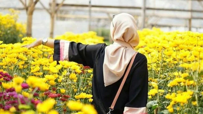 Setiya Aji Flower Farm