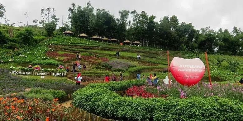 wisata pemalang - Taman Nasional Gunung Slamet-