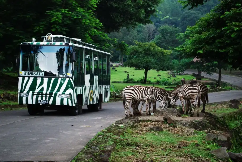 Taman Safari Probolinggo
