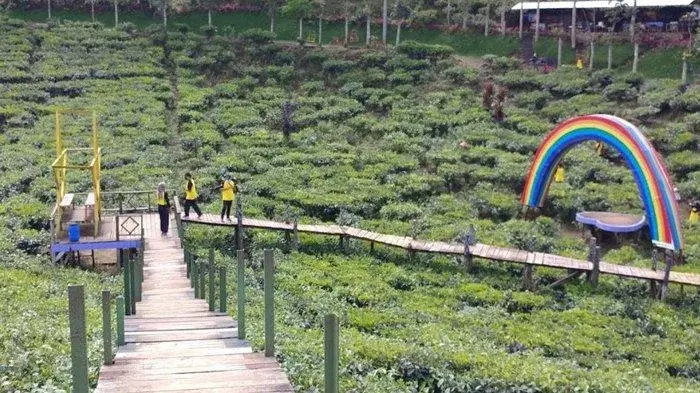 Wisata Agro Rengganis atau Kebun Teh Gunung Gambir 