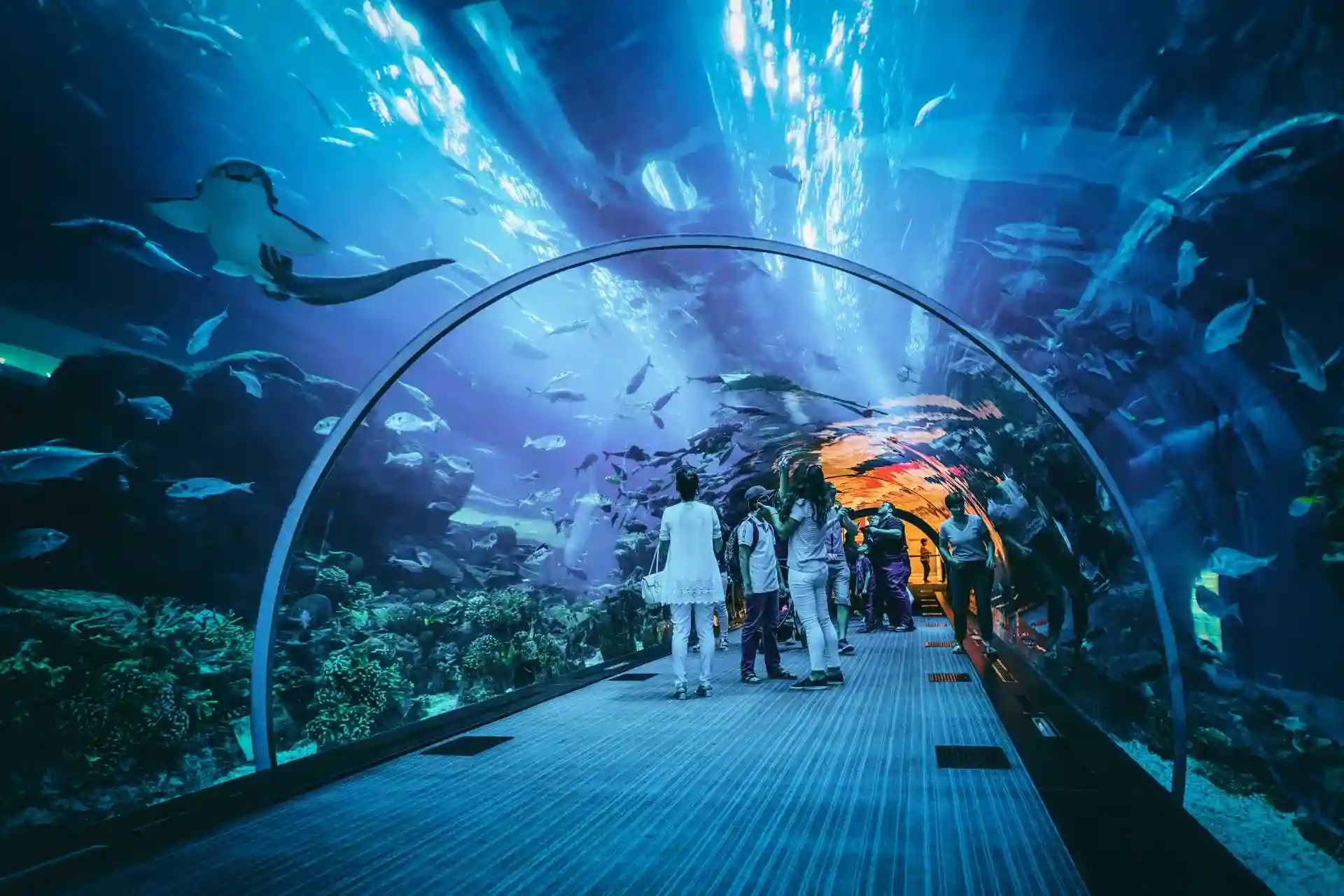 Libur Lebaran 2025 - Jakarta Aquarium