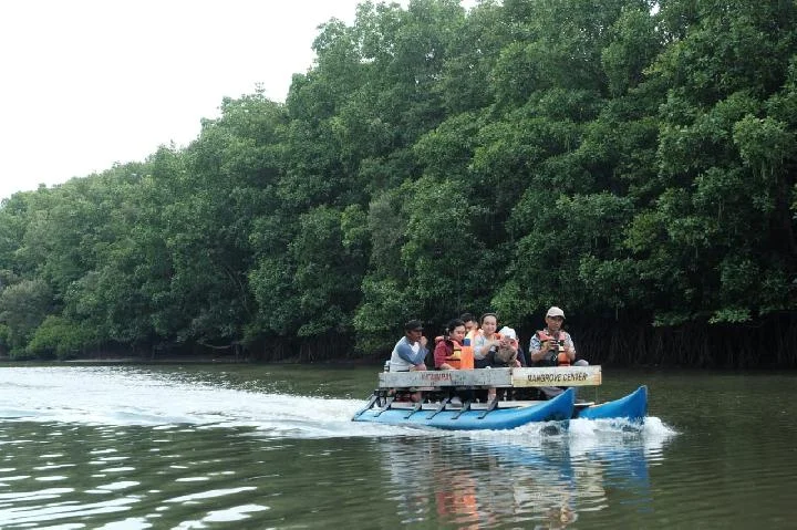 wisata balikpapan - Mangrove Center Sungai Somber