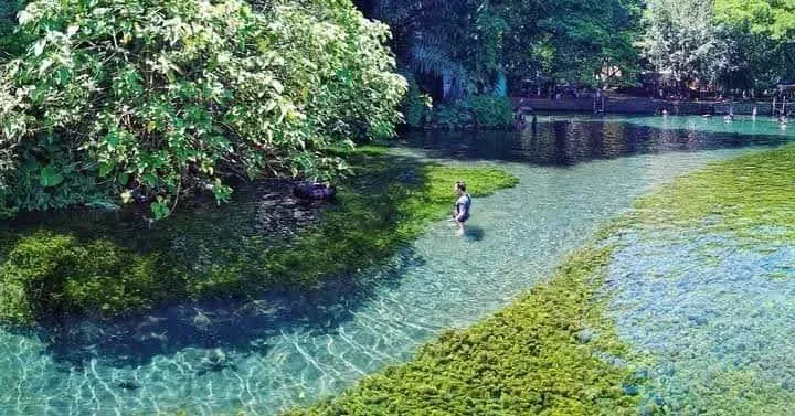 wisata malang selatan untuk libur lebaran - Mata air sumber sirah