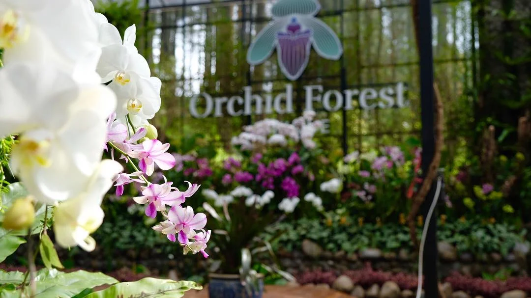 wisata libur lebaran 2025 bandung- Orchid Forest Cikole