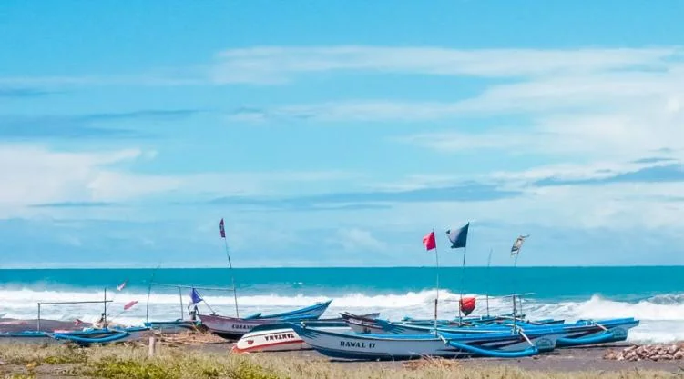 wisata dekat bandara YIA - Pantai Congot