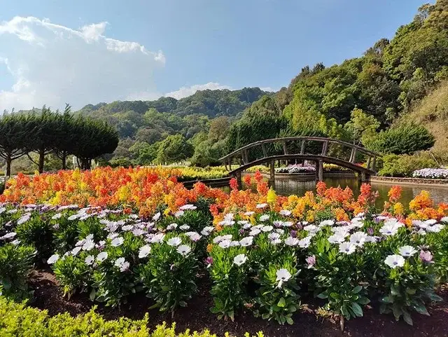 Rainbow Garden