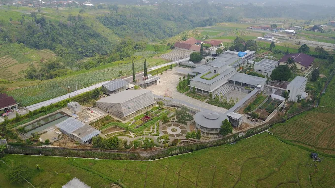 Rumah Atsiri Indonesia