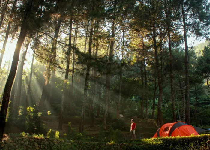 Highland Camp Curug Panjang