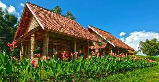 Kebun Mawar Situhapa