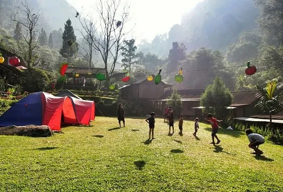 D_Jungle Private Camp
