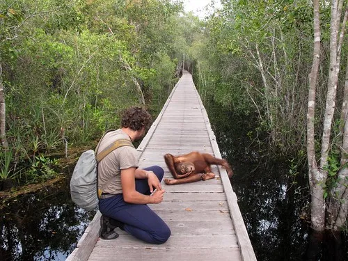 Taman Nasional Tanjung Puting, Kalimantan Tengah