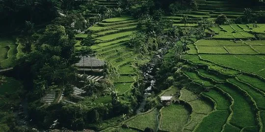 7. Desa Malasari, Bogor