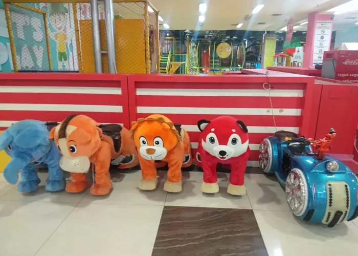 Kiddy Rides