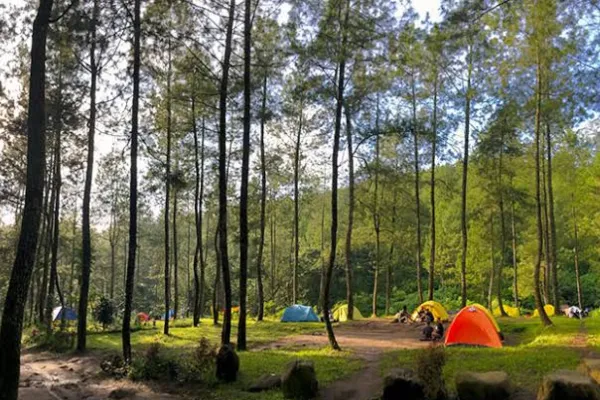 Bumu perkemahan bedengan
