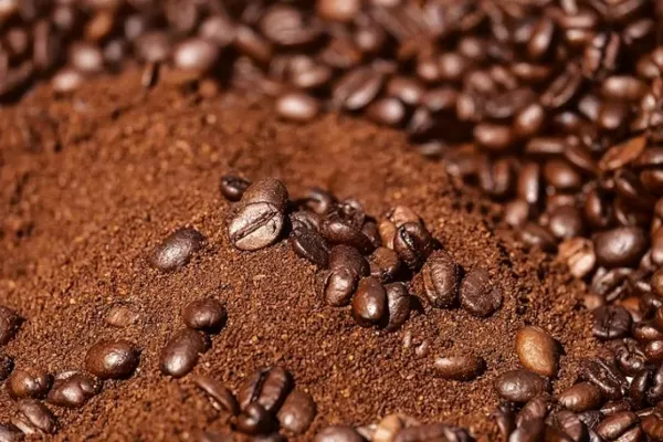 Oleh-Oleh -Kopi Lanang