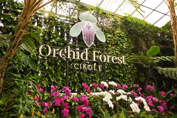 Orchid Forest Cikole