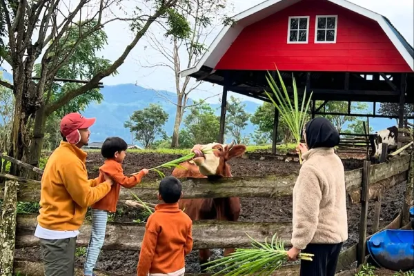 Aktivitas Alam di Tiara Camp