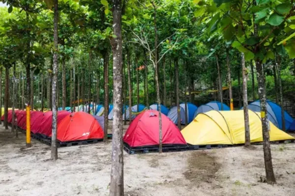 Camping Malang - Bumi Perkemahan Wonosari