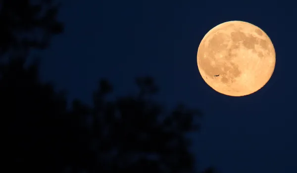 Apa itu Strawberry Moon