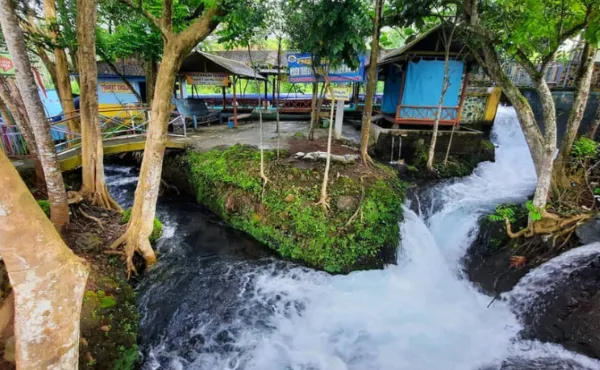 Belajar Teknologi di Tengah Alam_