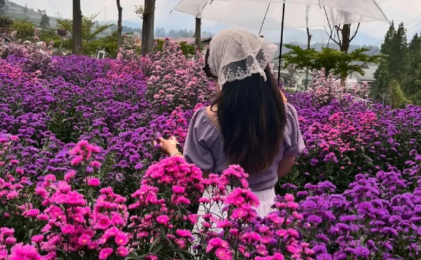 Fasilitas Bukit Straberry Lembang_